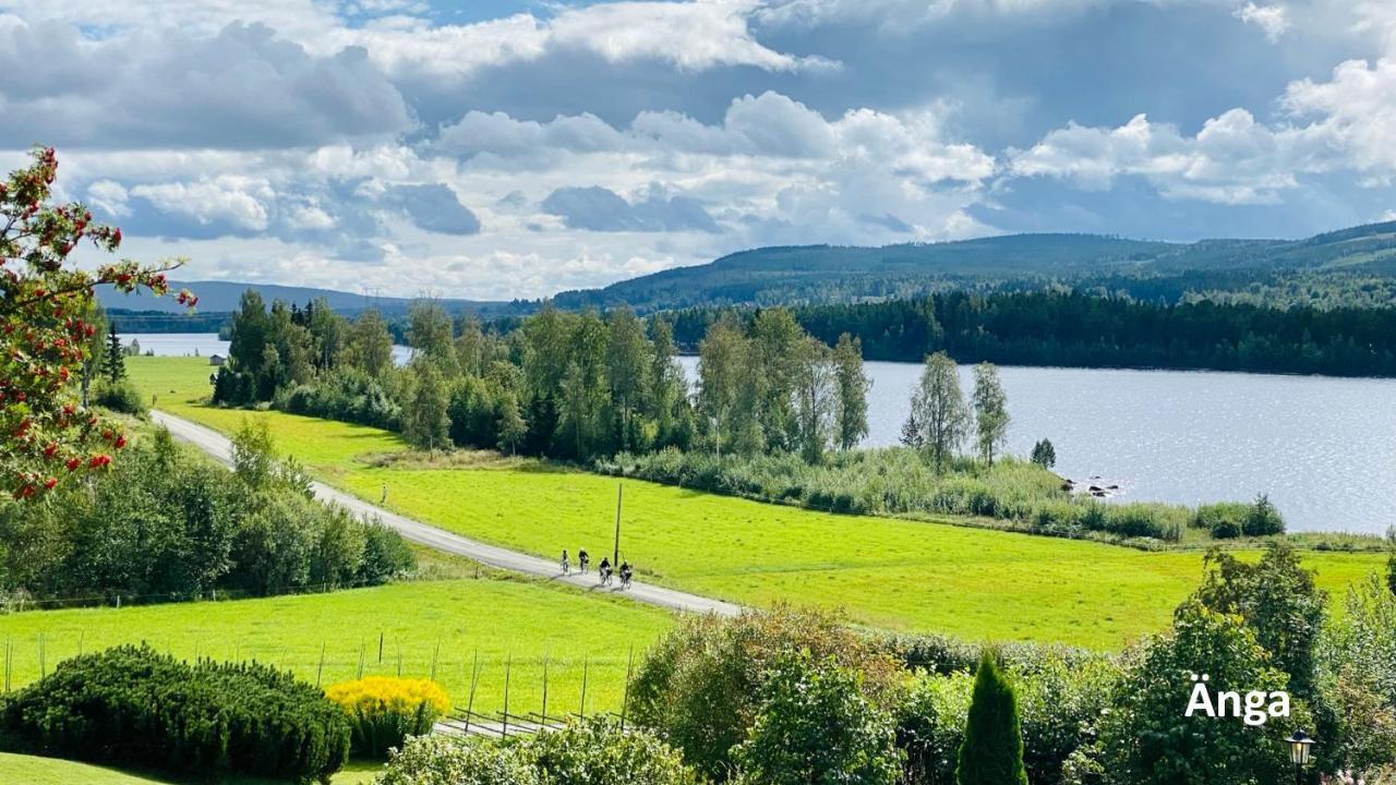 Nyrenoverat Boende I Vackra Järvsö Exterior foto